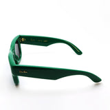 レイバン サングラス Ray-Ban WAYFARER PUFFER ウェイファーラー パファー RB4940 683487 50