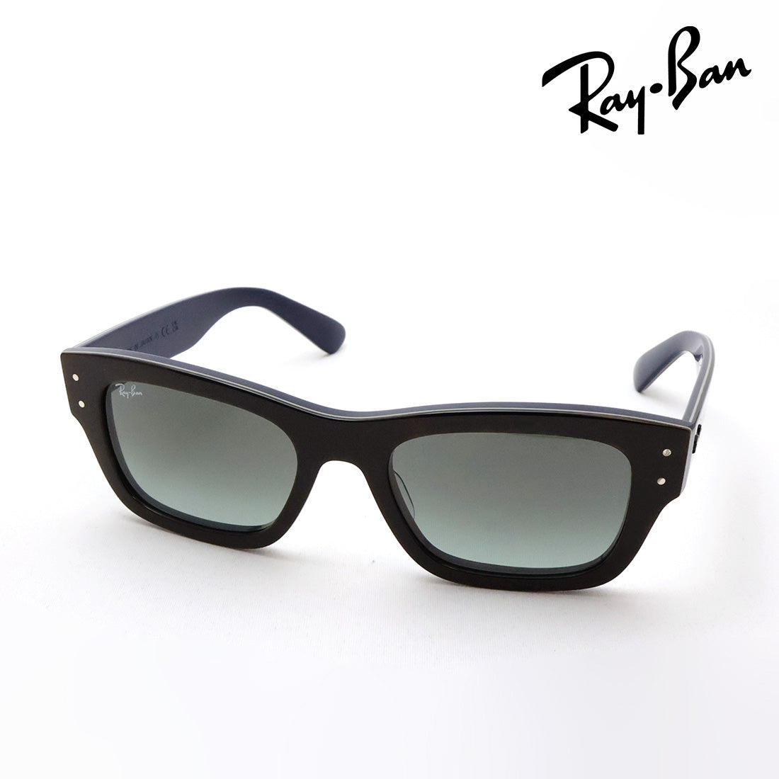 レイバン サングラス Ray-Ban JOSEPH ジョセフ RB7683S 140171 55