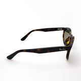 レイバン サングラス Ray-Ban RBR0505S 6790VR 52 REVERSE リバース ラウンド トータス系