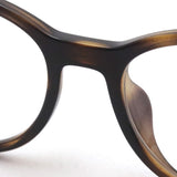 Ray-Ban眼镜Ray-Ban RX7093D 2012