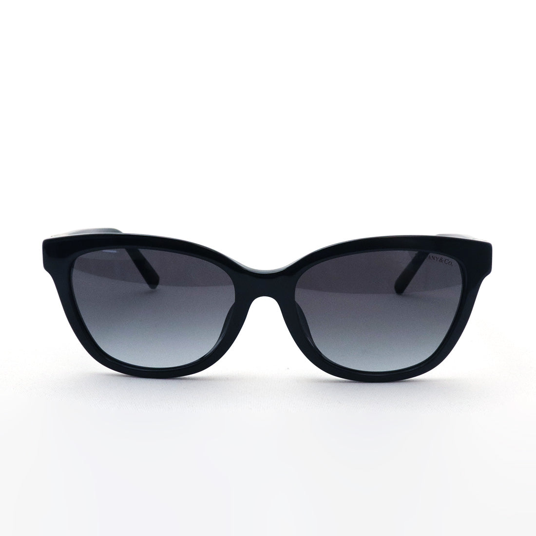 ティファニー サングラス TIFFANY&Co. TF4237BF 80013C 55