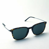 Giorgio Arman太阳镜Giorgio Armani AR8111F 502671太阳镜