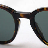 Giorgio Arman Sunglasses GIORGIO ARMANI AR8111F 502671 Sunglasses