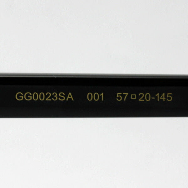 Gucci Sunglasses GUCCI GG0023SA 001