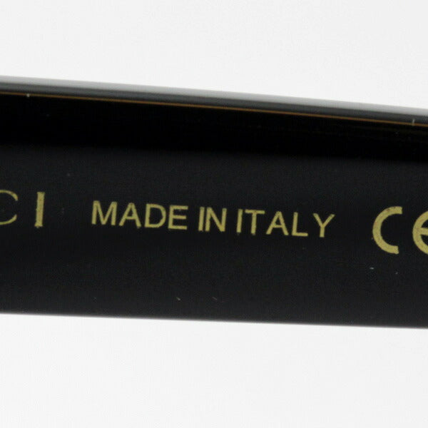 Gucci Sunglasses GUCCI GG0029SA 001