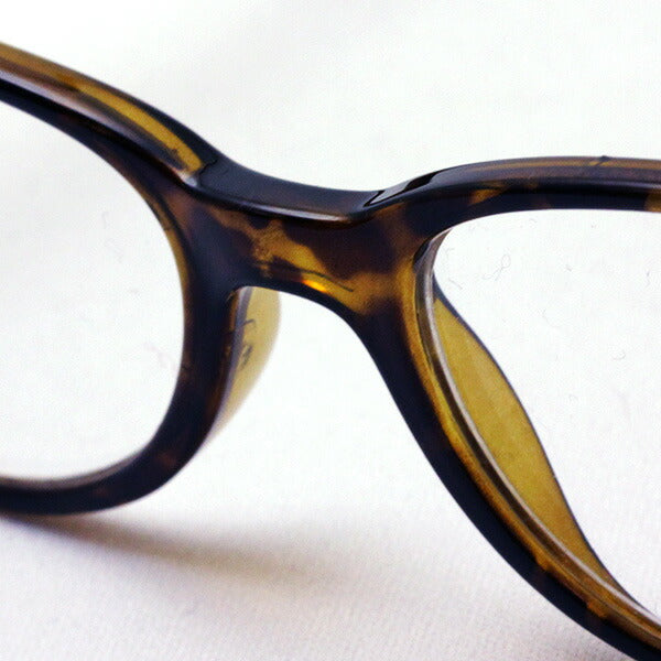 Hub Arrouch HAVE A LOOK Reading Glass URBAN Tortoase