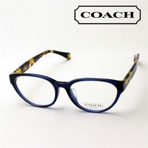 SALE Coach Glasses COACH HC6039F 5110