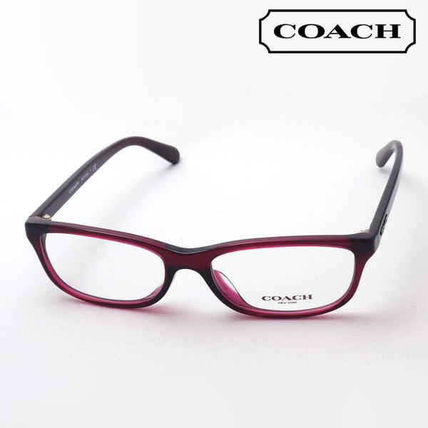 Coach glasses COACH sunglasses HC6158U 5172