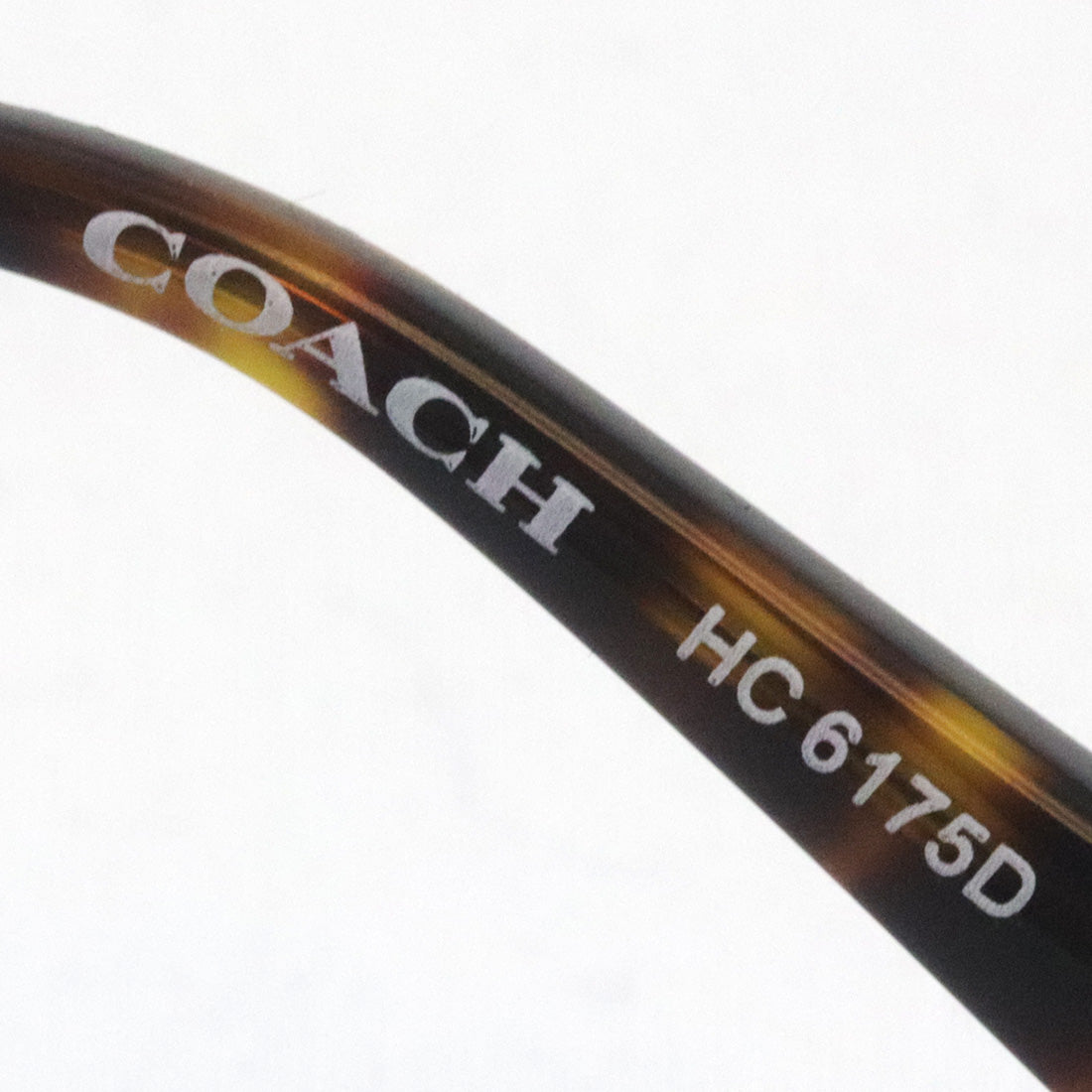 Coach Glasses COACH HC6175D 5120