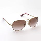 SALE Coach Sunglasses COACH Sunglasses HC7074 900513
