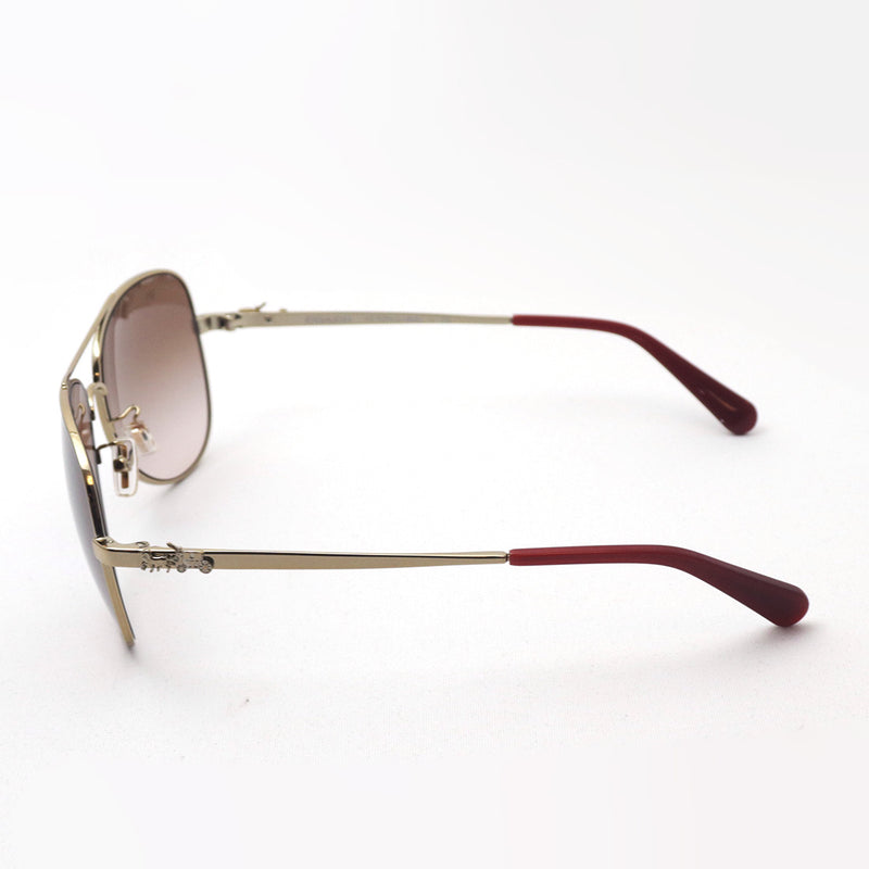 SALE Coach Sunglasses COACH Sunglasses HC7074 900513