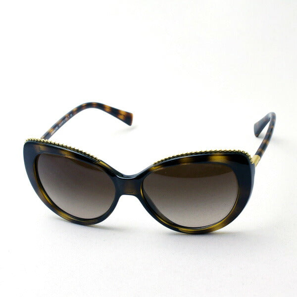 SALE Coach Sunglasses COACH Sunglasses HC8157 512013