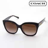 SALE コーチ サングラス COACH サングラス HC8264F 557313