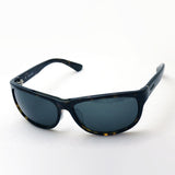 销售警察太阳镜警察SPLC64J 0722 Spectrum