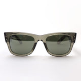 Ray-Ban Sunglasses Ray-Ban RB0840SF 66355C