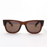 Ray-Ban Sunglasses Ray-Ban RB0840SF 663693