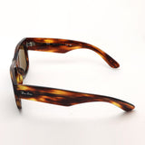 レイバン サングラス Ray-Ban RB0840SF 95433