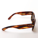 射线阳台偏光太阳镜Ray-Ban RB0840SF 95457