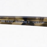 Ray-Ban Sunglasses Ray-Ban RB1973 12833F