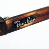 レイバン サングラス Ray-Ban RB1973 95431