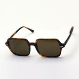 射线阳台偏光太阳镜Ray-Ban RB1973 95457