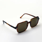 射线阳台偏光太阳镜Ray-Ban RB1973 95457