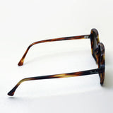 射线阳台偏光太阳镜Ray-Ban RB1973 95457