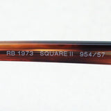射线阳台偏光太阳镜Ray-Ban RB1973 95457