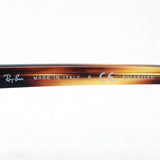 射线阳台偏光太阳镜Ray-Ban RB1973 95457
