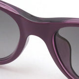 レイバン 偏光サングラス Ray-Ban RB2132F 6606M3 ニューウェイファーラー
