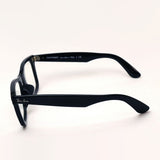 射线棕色的太阳镜Ray-Ban RB2140F 9015F Wayfarer Everglasses Everglass Everglass