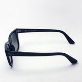 レイバン サングラス Ray-Ban RB2168 90171 メテオール