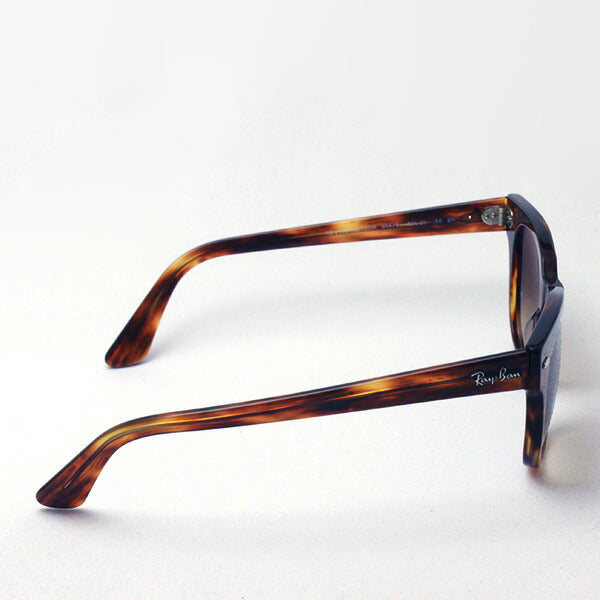 Ray-Ban Sunglasses Ray-Ban RB2168 95451 Meteor