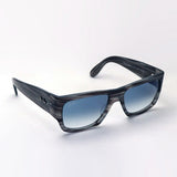 レイバン サングラス Ray-Ban RB2187 13143F ウェイファーラー ノマド