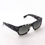 Ray-Ban Sunglasses Ray-Ban RB2187 133371 Wayfarer Nomad