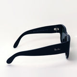 レイバン サングラス Ray-Ban RB2187 90131 ウェイファーラー ノマド