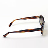 レイバン サングラス Ray-Ban RB2189 95451 BENJI ベンジー