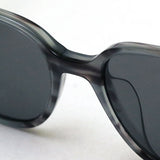 レイバン サングラス Ray-Ban RB2193F 1314B1 レオナルド