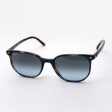 Ray-Ban Sunglasses Ray-Ban RB2197F 13563M Elliott