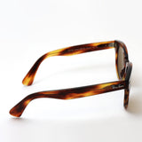 Gafas de sol Ray-Ban Ray-Ban RB2199 95433 Orion