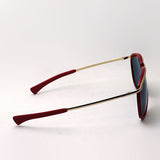 レイバン サングラス Ray-Ban RB2219 1243R5 オリンピアン