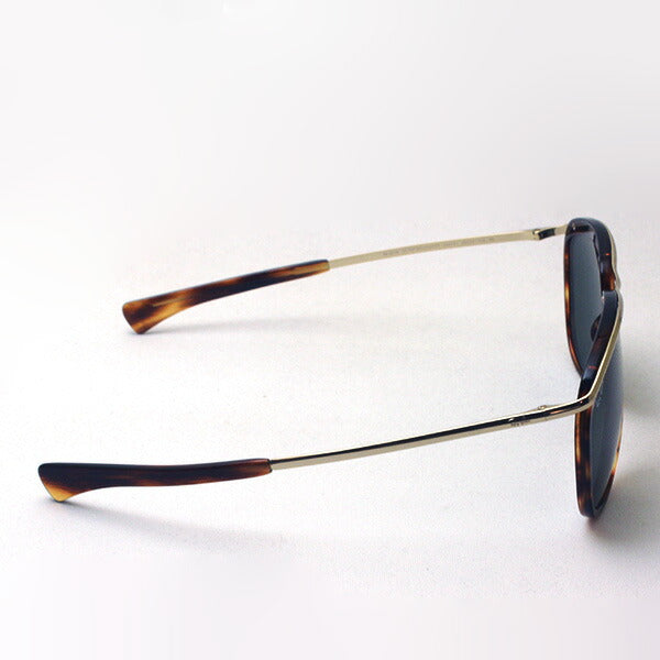 Ray-Ban Sunglasses Ray-Ban RB2219 95431 Olympian