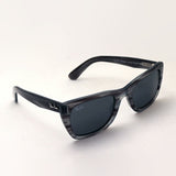 Gafas de sol Ray-Ban Ray-Ban RB2248 1314B1 Caribe