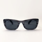 Gafas de sol Ray-Ban Ray-Ban RB2248 1314B1 Caribe