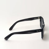 Gafas de sol Ray-Ban Ray-Ban RB2248 1314B1 Caribe