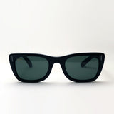 レイバン サングラス Ray-Ban RB2248 90131 カリビアン