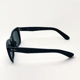 レイバン サングラス Ray-Ban RB2248 90131 カリビアン