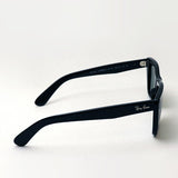 レイバン サングラス Ray-Ban RB2248 90131 カリビアン