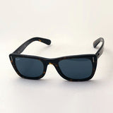 Gafas de sol Ray-Ban Ray-Ban RB2248 902R5 Caribe