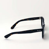 Gafas de sol Ray-Ban Ray-Ban RB2248 902R5 Caribe